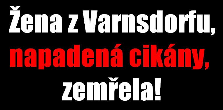 Odsuzujeme rasistický čin ve Varnsdorfu. Připravujeme protestní shromáždění